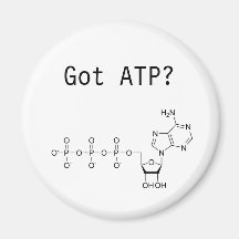 Got ATP? Magnets