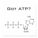 Got ATP? Poster posters