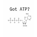 Got ATP? T-shirt