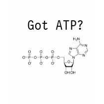 Got ATP? T-shirt
