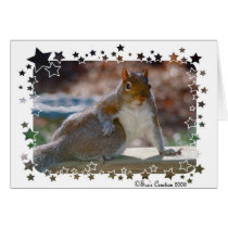 Got Attitude? Squirrel cards by birdersue Got Attitude? Squirrel cards
