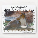 Got Attitude? Squirrel mousepads