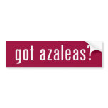 got azalea?