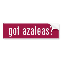got azalea? bumper stickers by gottees got azalea? bumper stickers