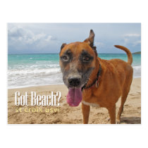 Got Beach? postcards