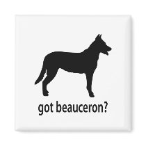 Got Beauceron Fridge Magnet