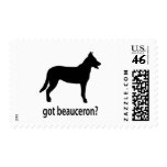 Got Beauceron postage