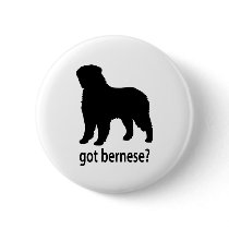 Got Bernese Pinback Button