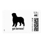 Got Bernese Postage