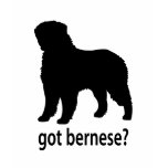 Got Bernese t-shirts