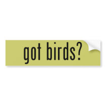 got birds? bumper sticker