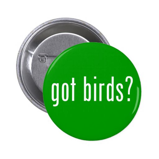 got birds? pin