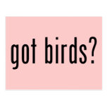 got birds? Postcard