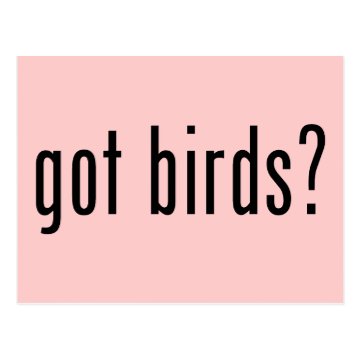 got birds? Postcard < Birder T-Shirts & Gift Ideas inspired by Pop Culture < Magnificent Frigatebird