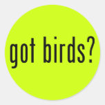 got birds? Round Sticker