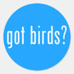 got birds? Round Sticker