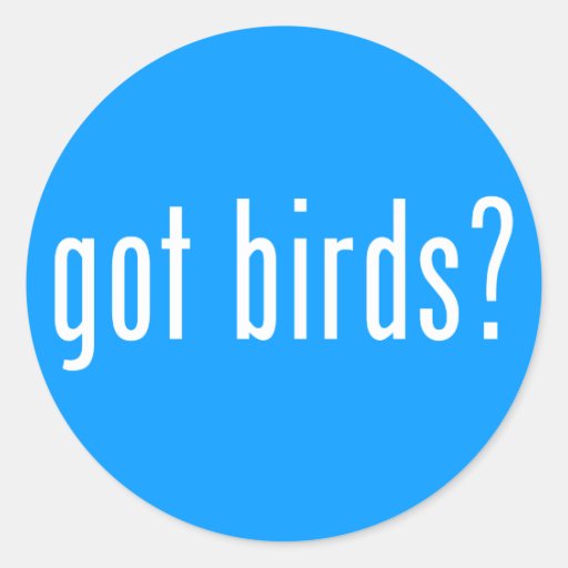 got birds? round stickers