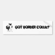 GOT BORDER COLLIE? BUMPER STICKER