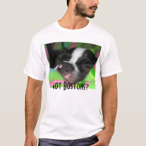 Got Bostons? t-shirts by kristanoele Got Bostons? t-shirts