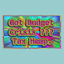 Got Budget Crisis ? Tax Hemp. business card business cards