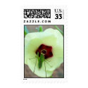 Got Bug! PostCard Postage Stamps