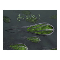 Got Bugs? posters by tshark7 Got Bugs? posters