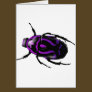 Got Bugs-Wild Colored Beetle