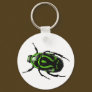 Got Bugs-Wild Colored Beetle