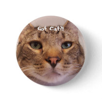 Got Cat buttons