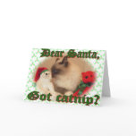 Got Catnip? Greeting Cards