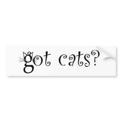 Got Cats Bumper Sticker by teestyles