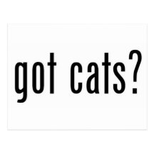 got cats? post cards