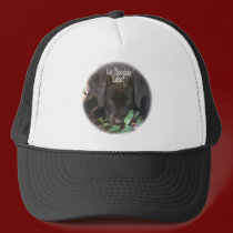 Got Chocolate Labs?  Puppy hats