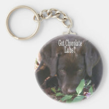 Got Chocolate Labs?  Puppy Key Chain