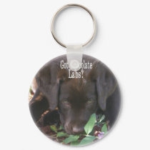 Got Chocolate Labs? Puppy keychains by ChocolateLoversLabs Got Chocolate Labs? Puppy keychains