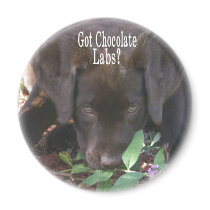 Got Chocolate Labs? Puppy magnets by ChocolateLoversLabs Got Chocolate Labs? Puppy magnets