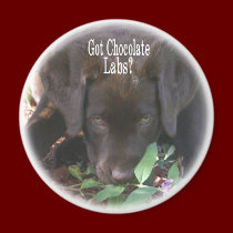 Got Chocolate Labs?  Puppy magnets