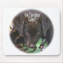 Got Chocolate Labs?  Puppy mousepads