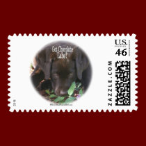 Got Chocolate Labs?  Puppy stamps