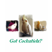 Got Cockatiels? t-shirts