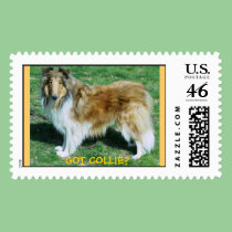 GOT COLLIE? postage postage
