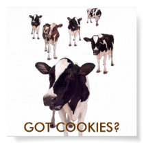 GOT COOKIES? posters