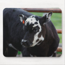 Got Cow mousepads by knotth Got Cow mousepads