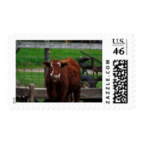 Got Cow postage