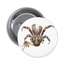 Got Crabs? nice sea crab-dinner time Pinback Buttons