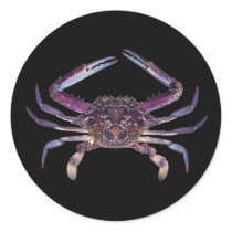 Got Crabs? nice sea crab-dinner time stickers