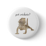 Got crickets buttons