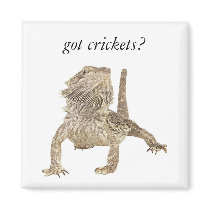 Got crickets fridge magnet