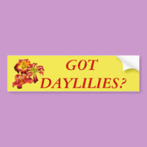Got Daylilies? bumper stickers