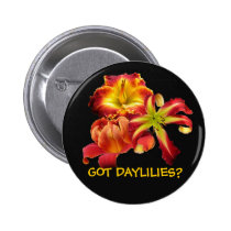 GOT DAYLILIES? BUTTON buttons